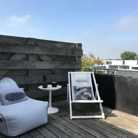 Zebra - Deux Grandes Terrasses Super Lumineux